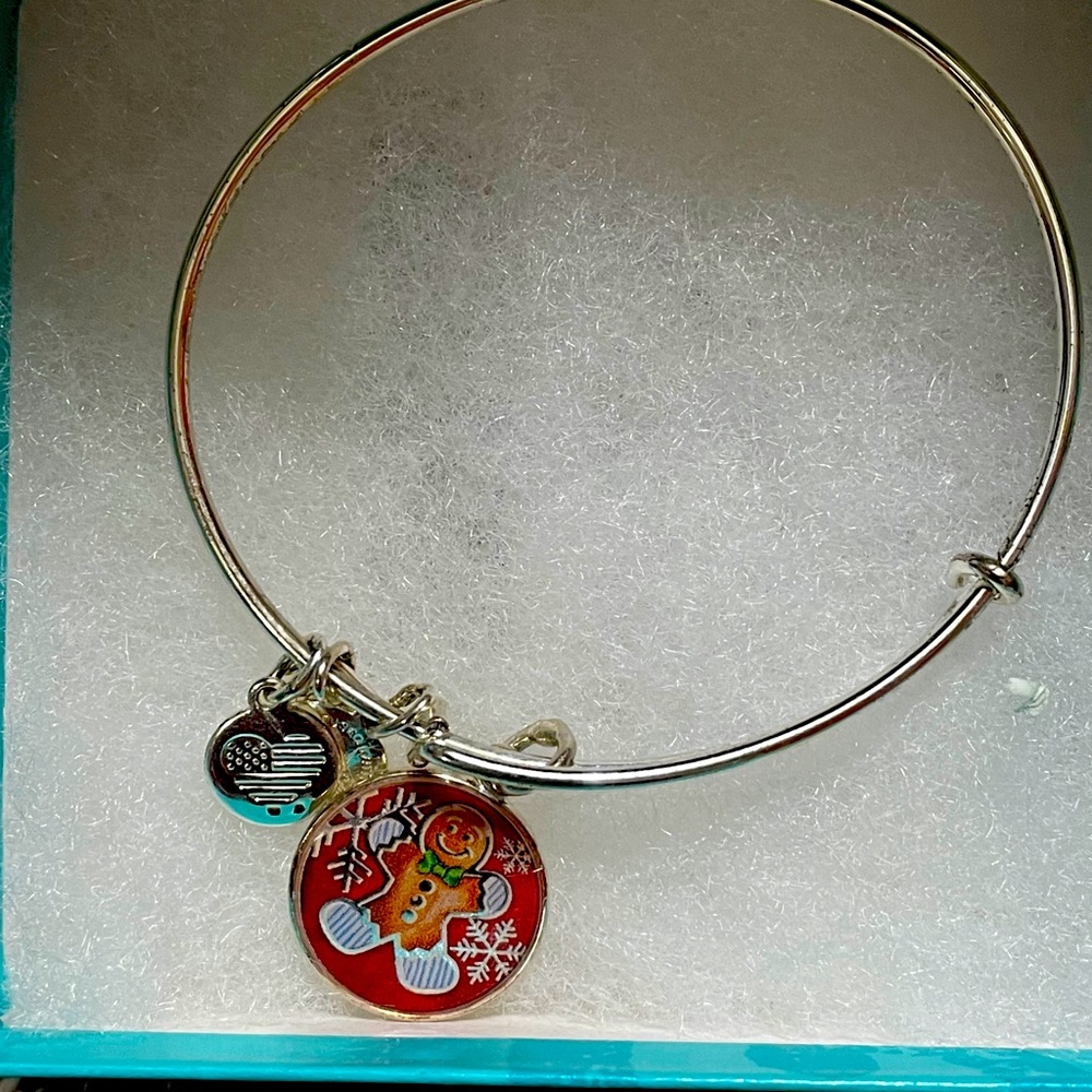 Alex & Ani bracelet
